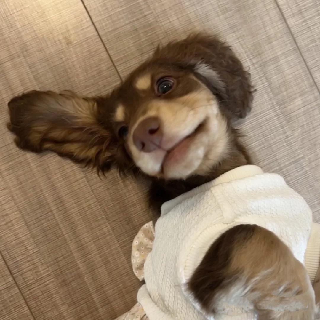 小糊:(