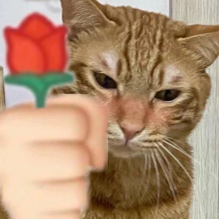 带胶布