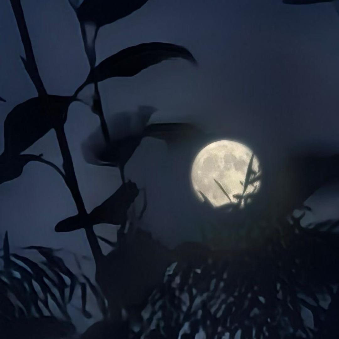 晚安💤玛卡巴卡