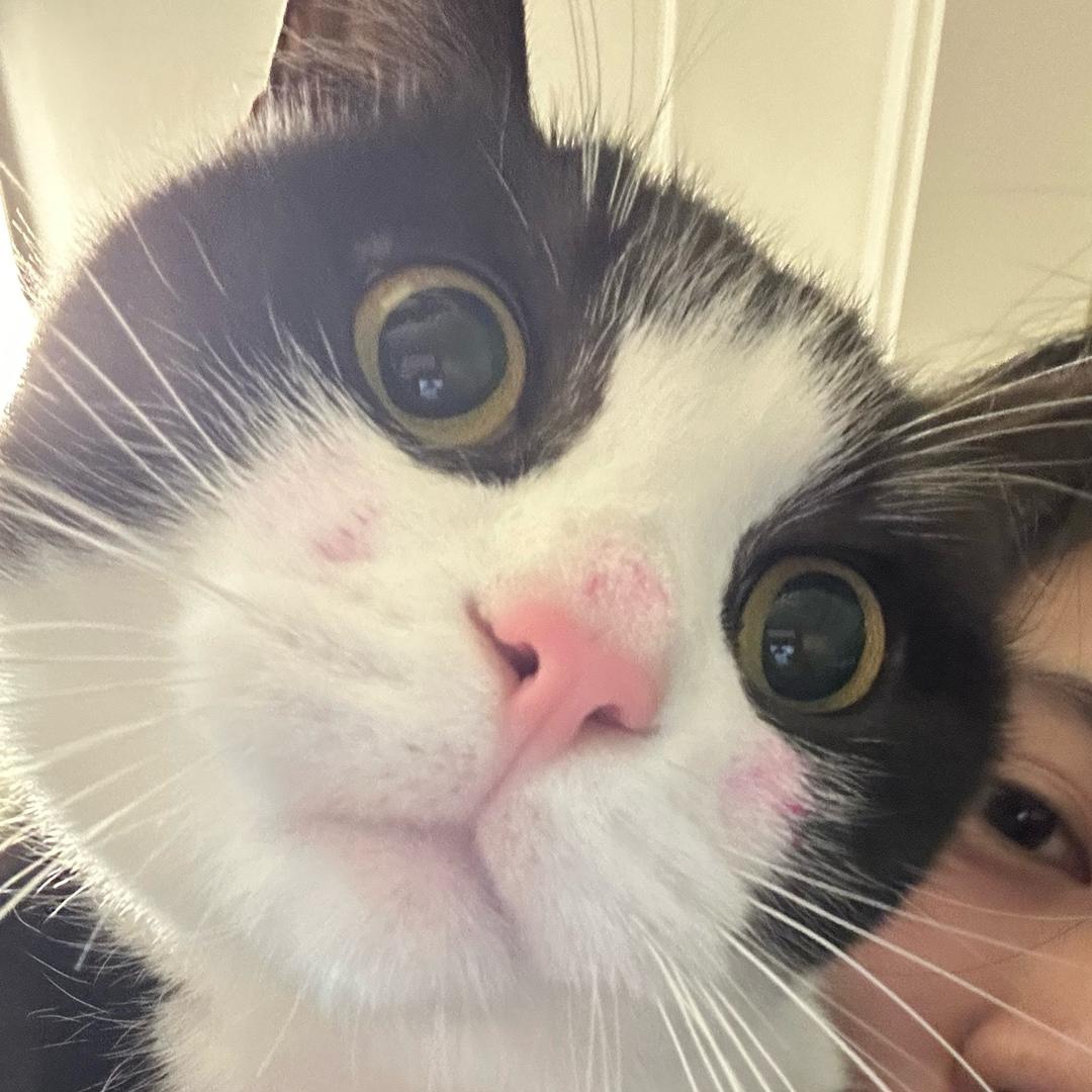 梨梨沅上草
