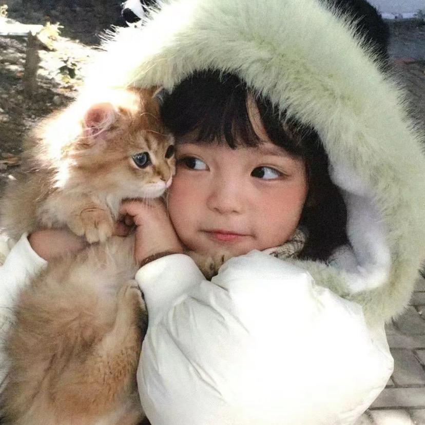可爱小猪包（10.2恢复更新）