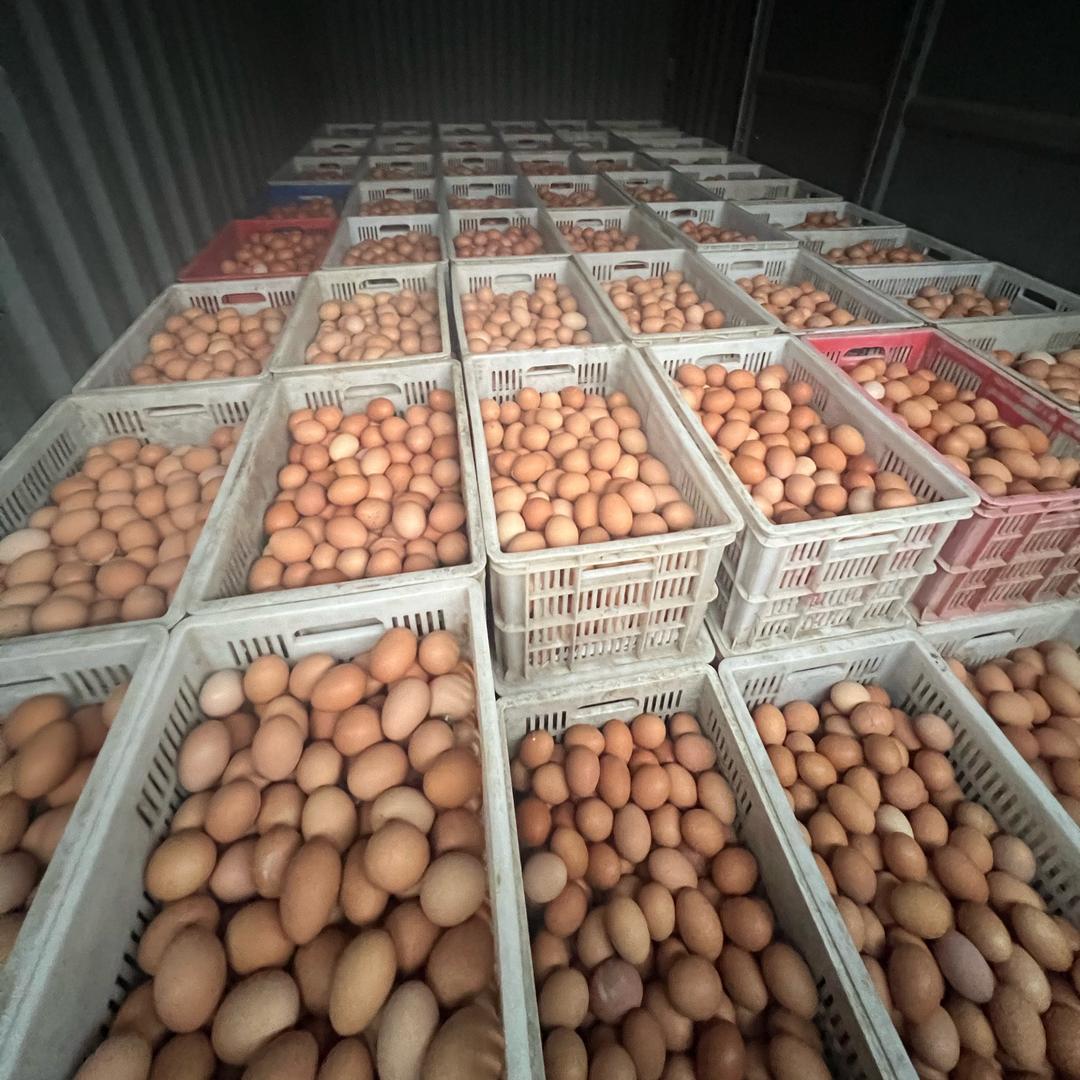 🌈卖鸡蛋的大叔🌈