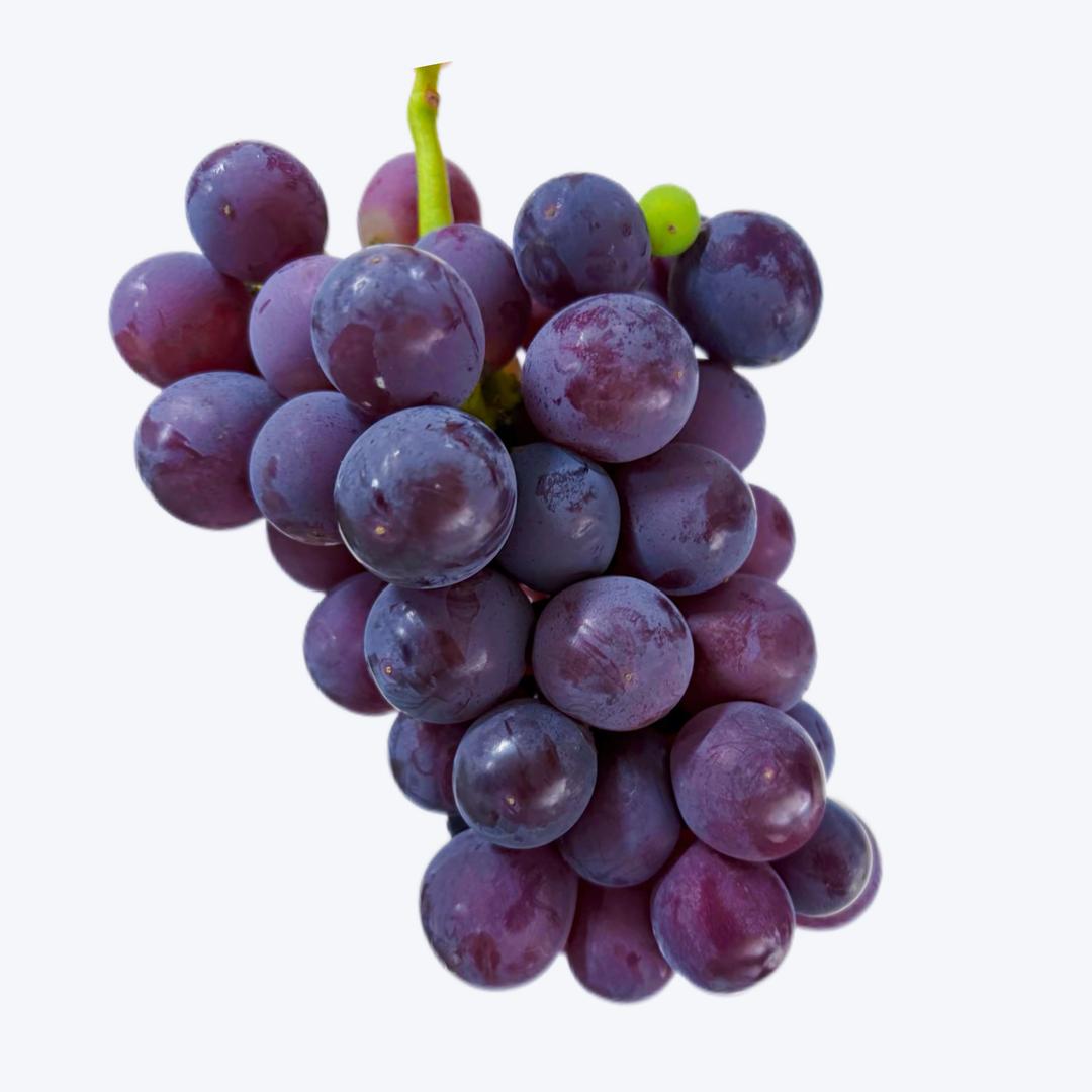 小易小易【升级版】