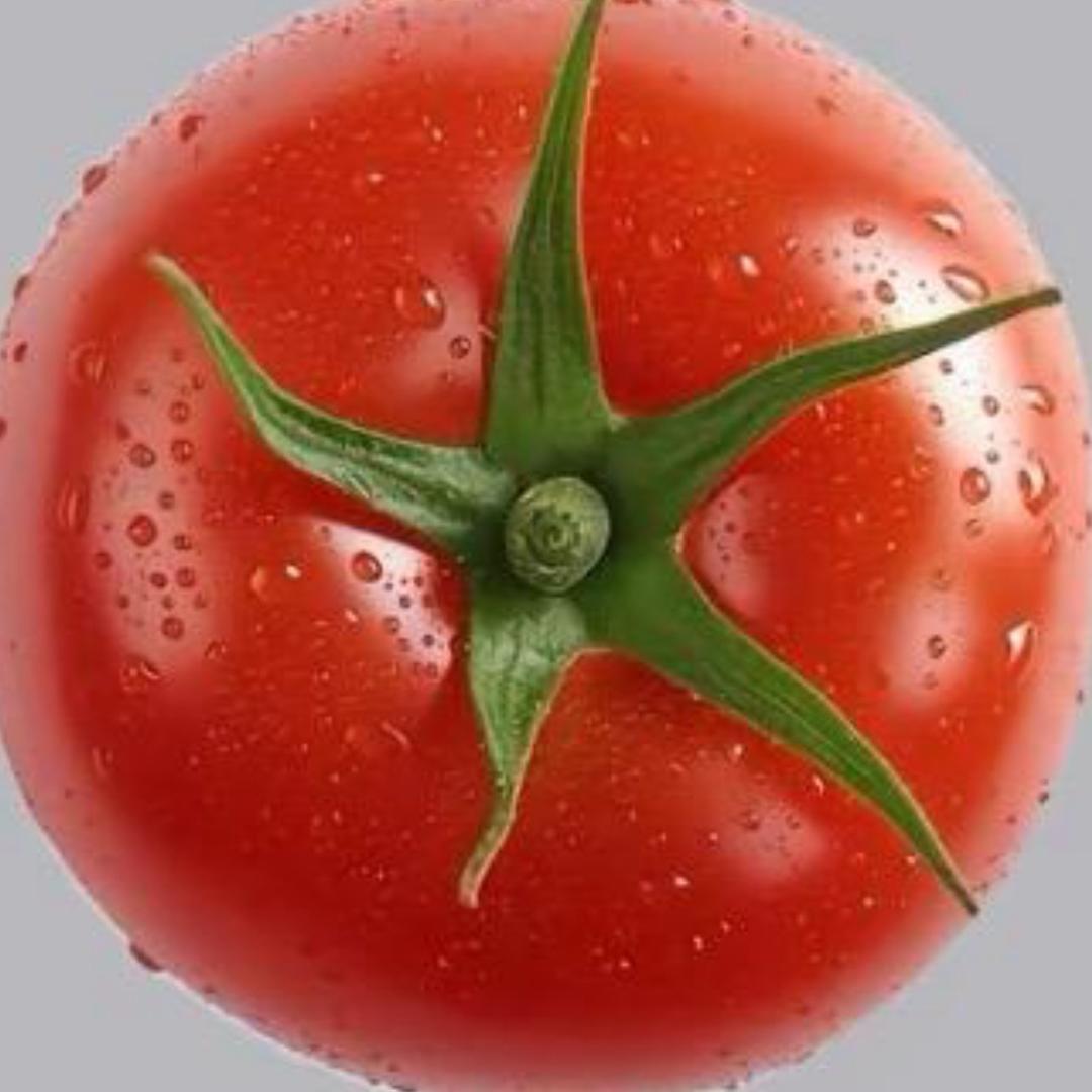 爱吃🍅-.
