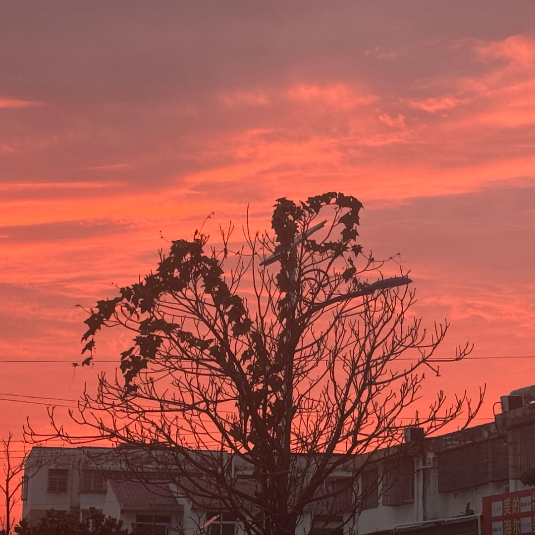 山野藏意深。。。