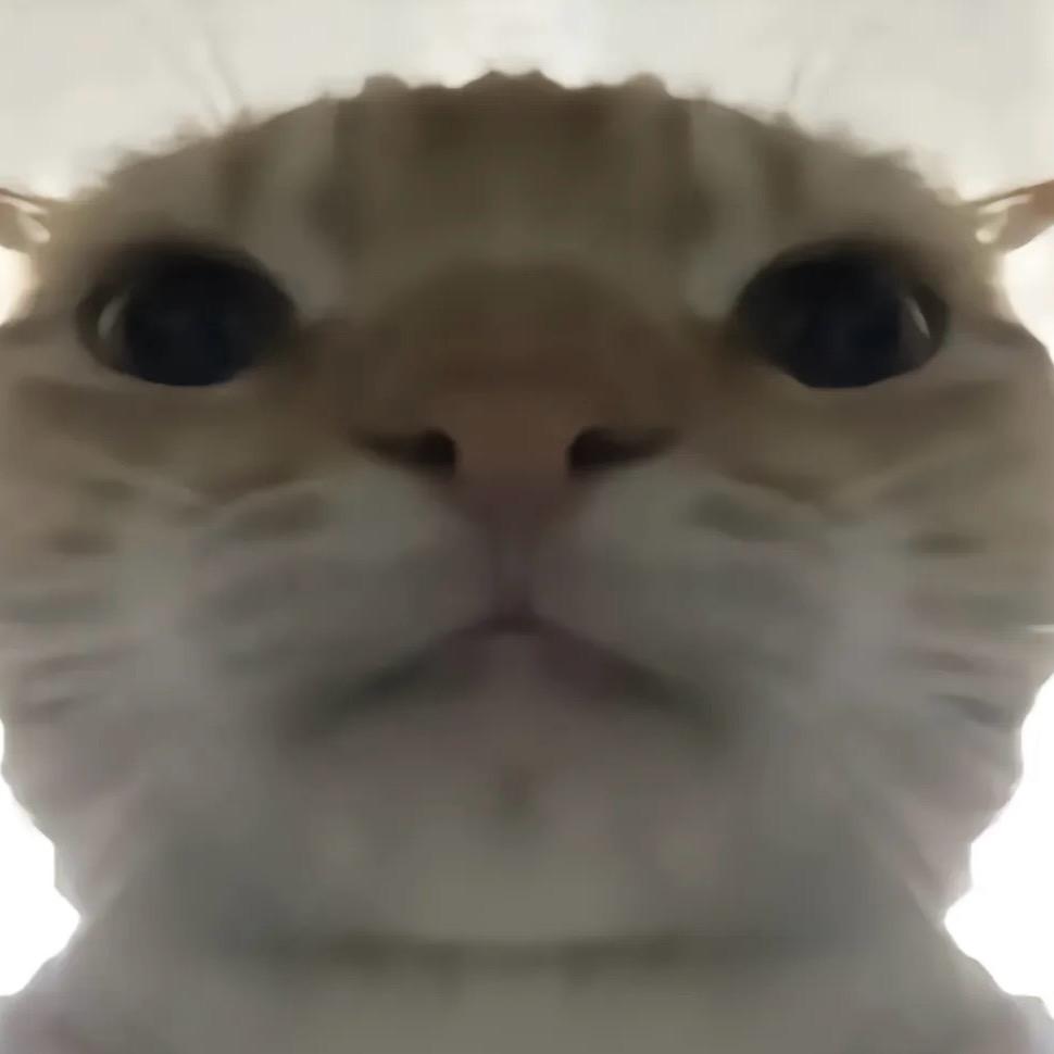真