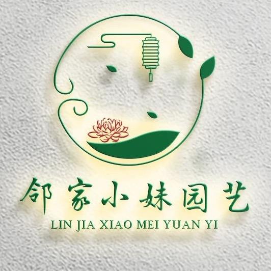 邻家小妹园艺