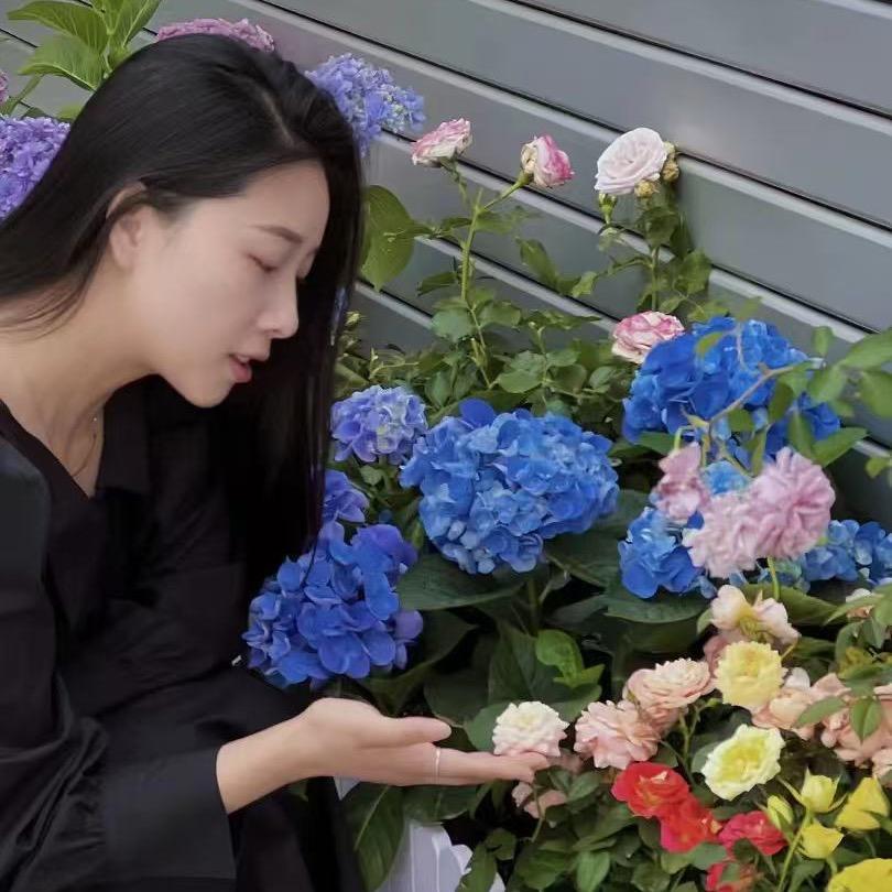 柒月的花园