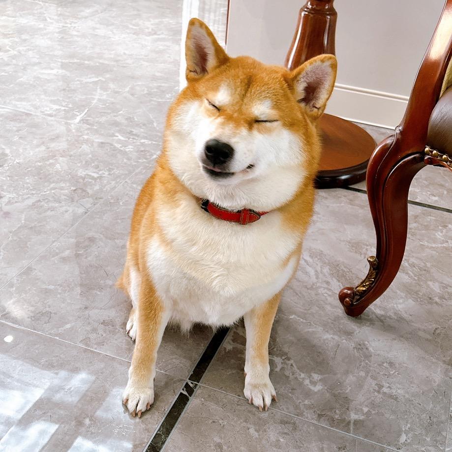 @洋洋@