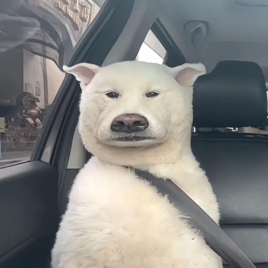 龍包（三角洲）