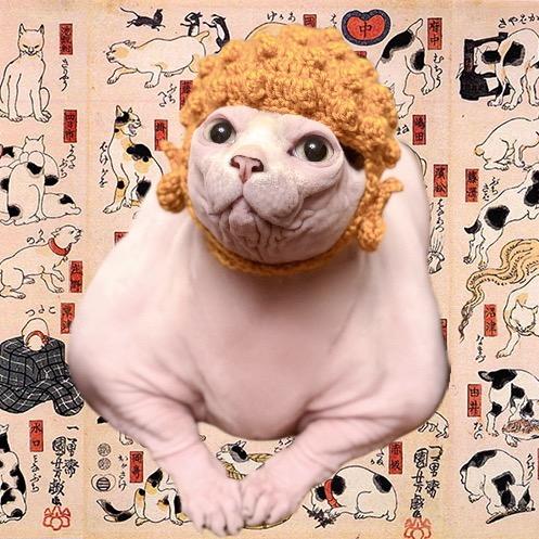 修勾修猫和修璇
