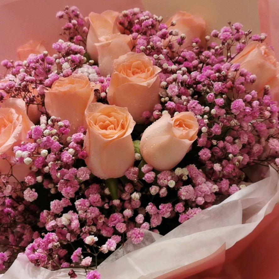 🌹春雨儿🌸