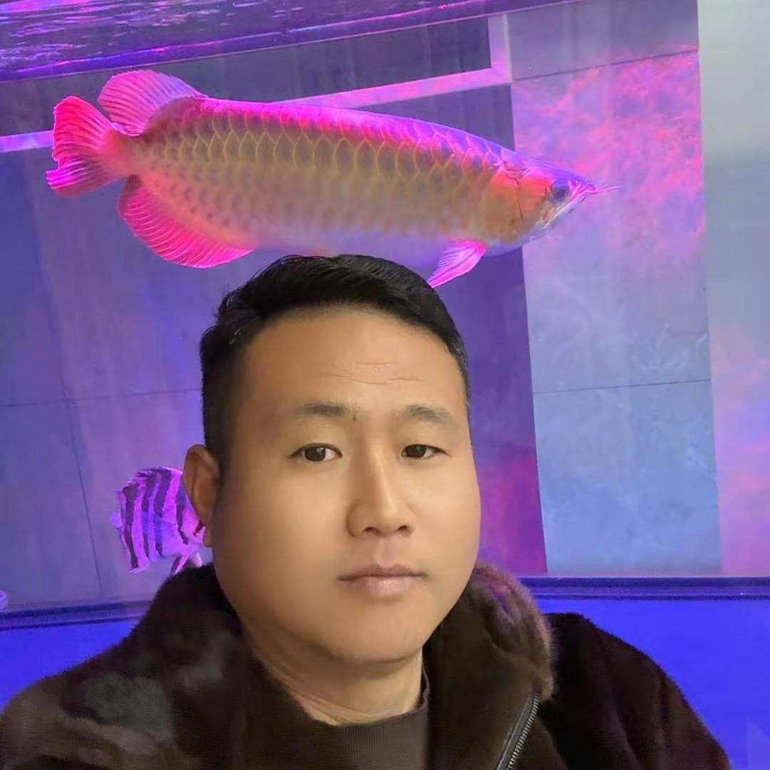 农村大席