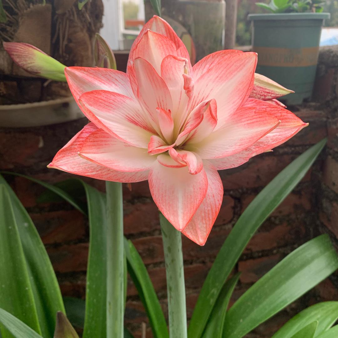 雨后彩虹🌈