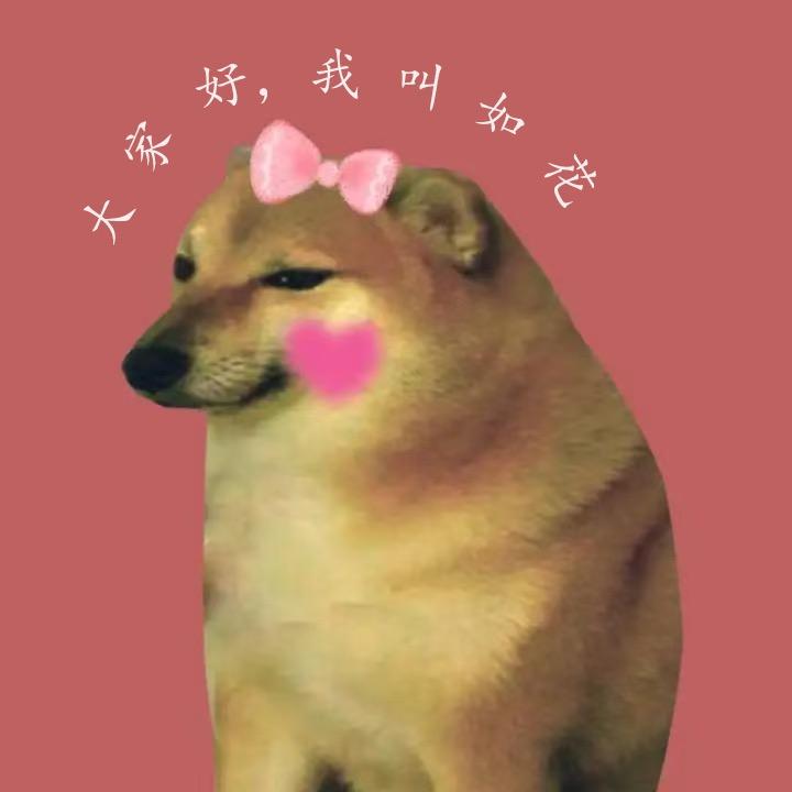 如花Cheems