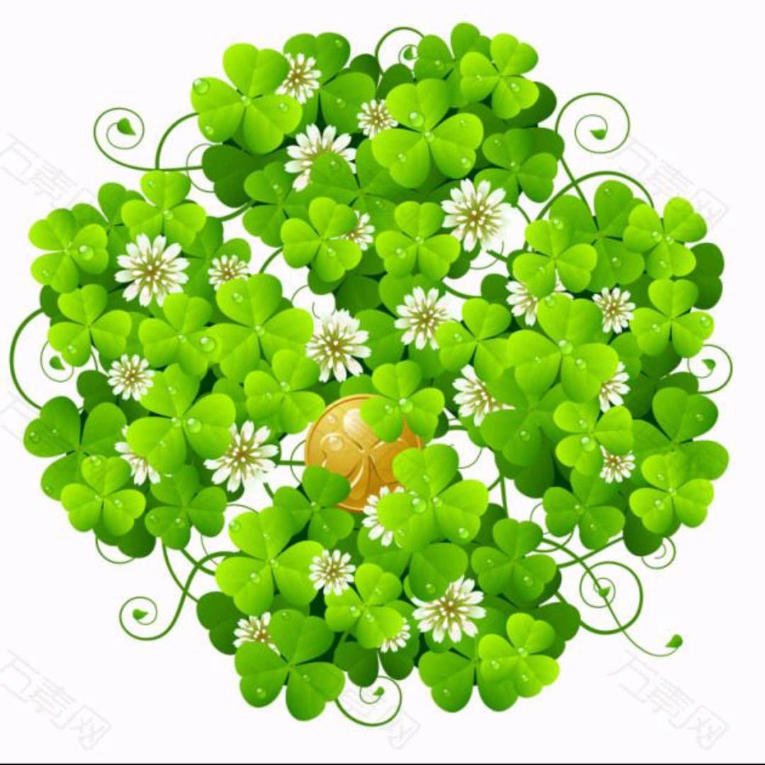 ☘️无所谓☘️