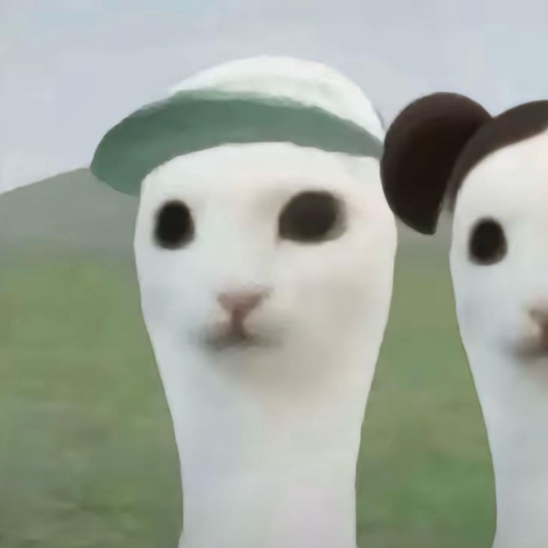 小哑巴十一