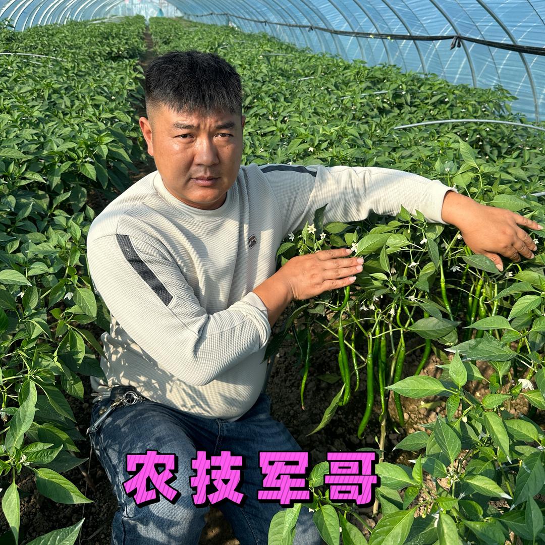 农技军哥(淮安秋果农资)