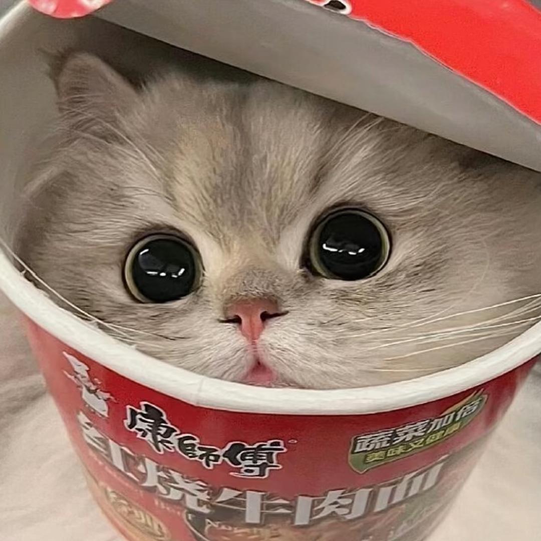 張璨