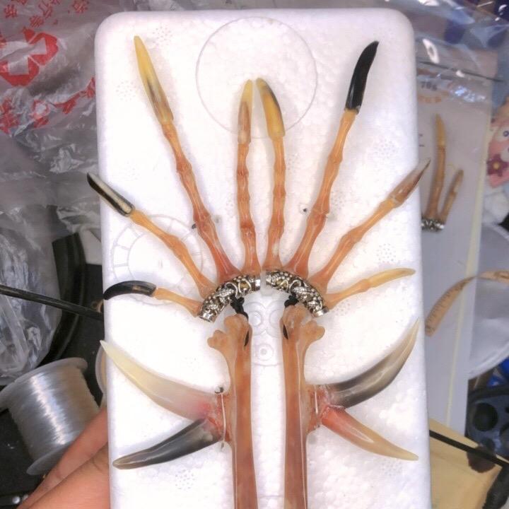 蛋哥骨艺