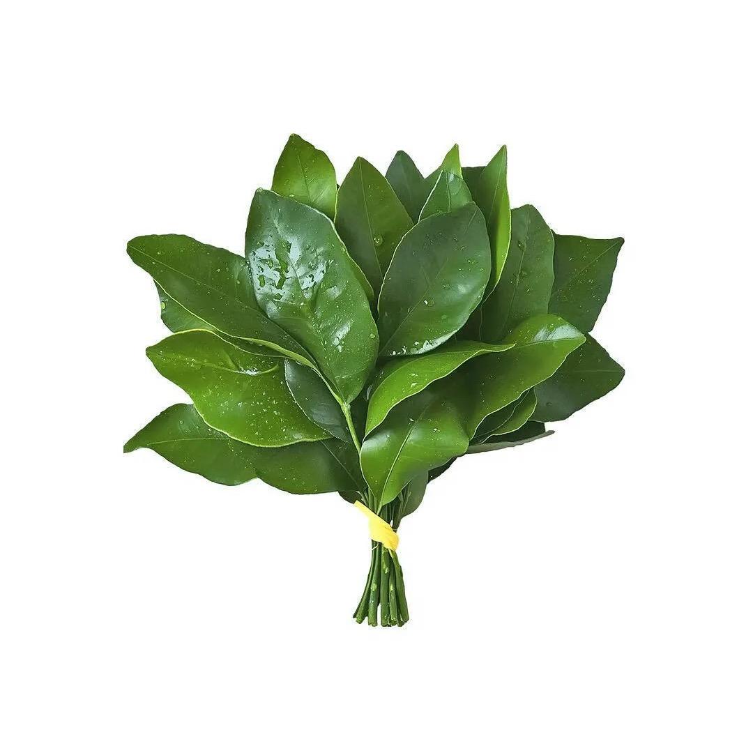 W  小妹