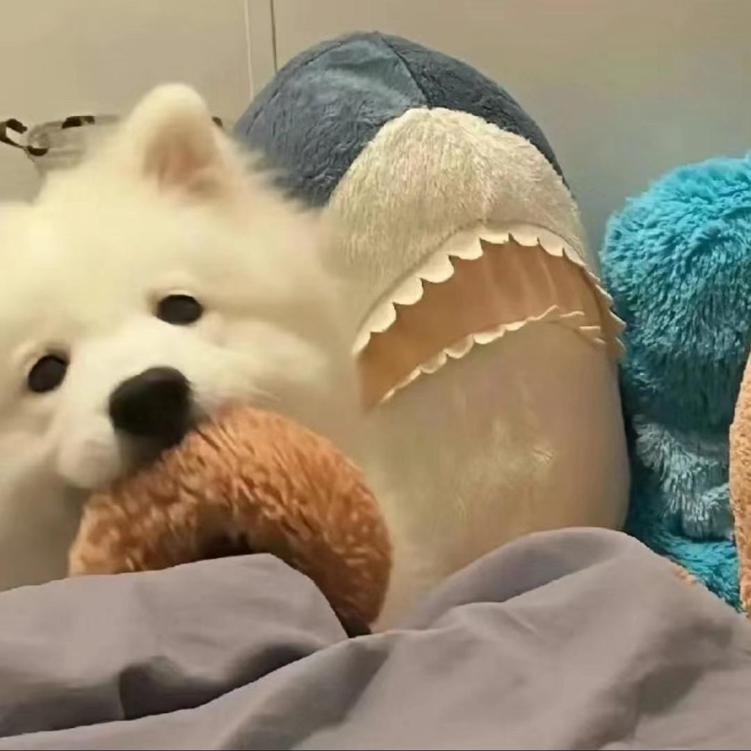 苏打水配什么—🥰