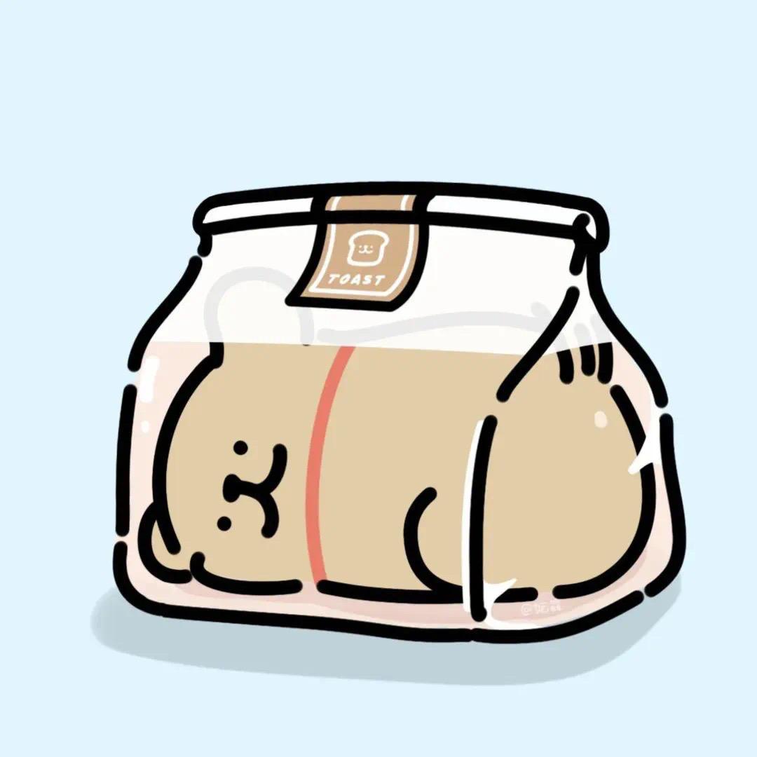 小狗日记🐽