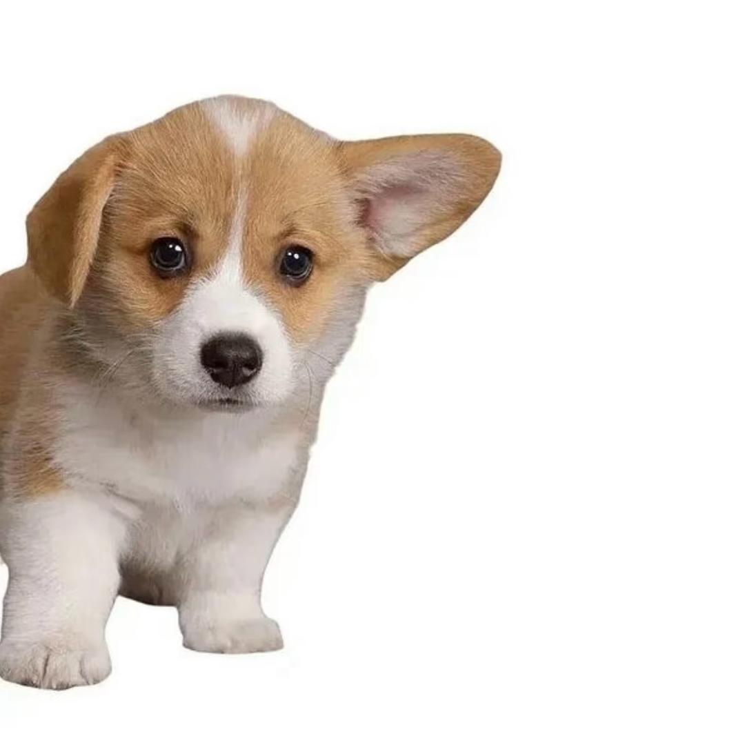 ‍‍