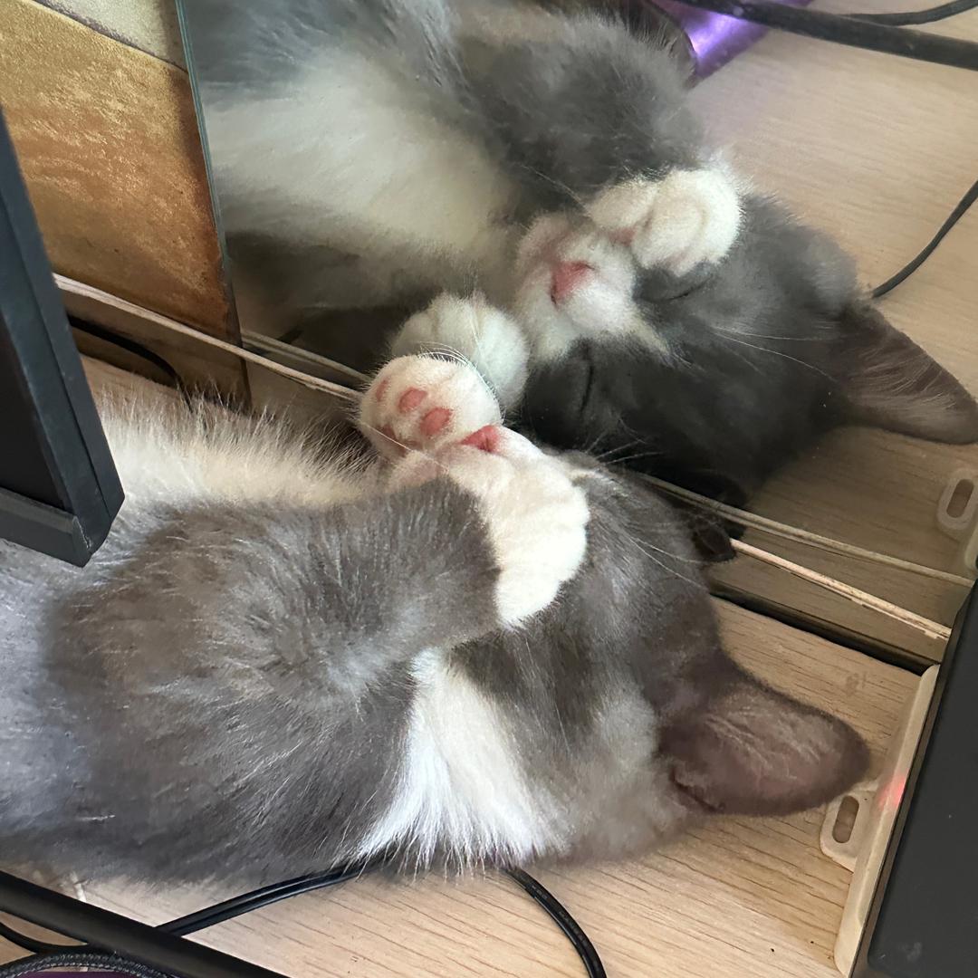 臭屁大大大大王🍭