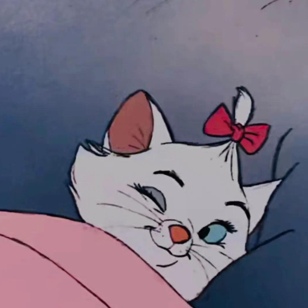 小赵打烊了