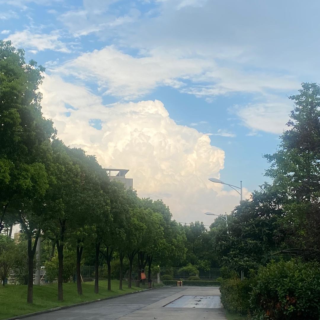 🌈一米米多