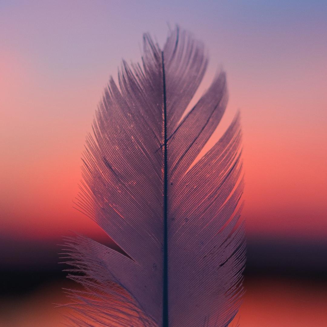 晨曦塑料制品厂