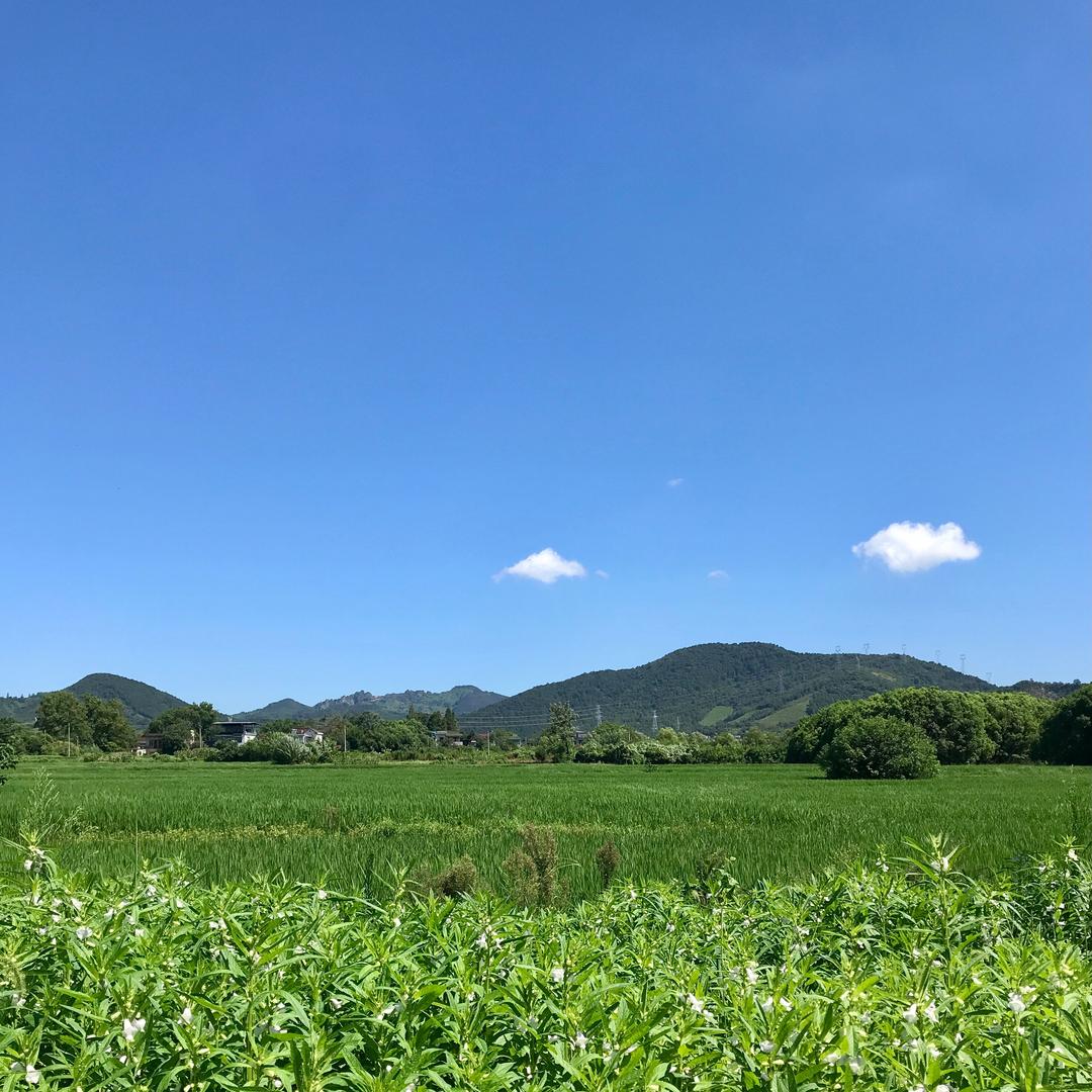茂材眼镜   家兴眼镜工厂店
