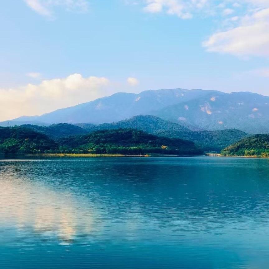 小秦