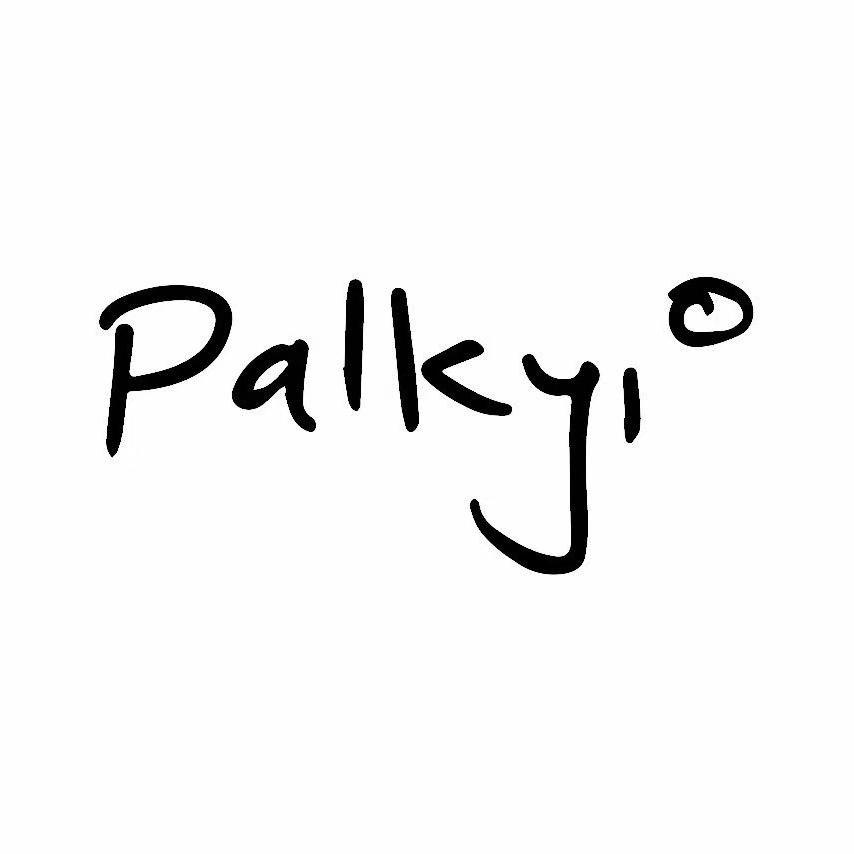 PALKYI墨镜