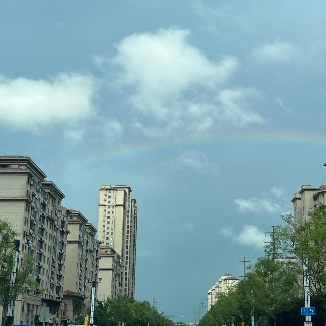 教育一块砖