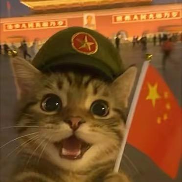 叁贰叁
