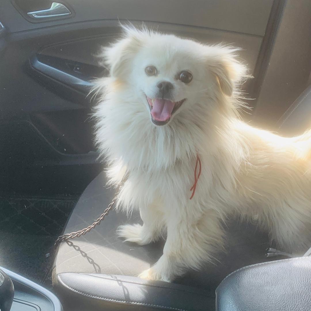 Simon　　　　　　🪳