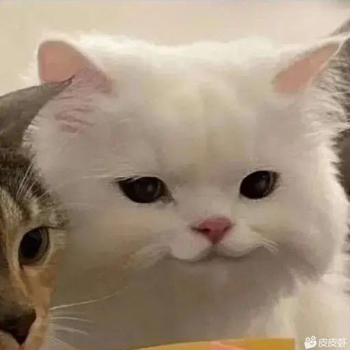 热心市民吴先生。