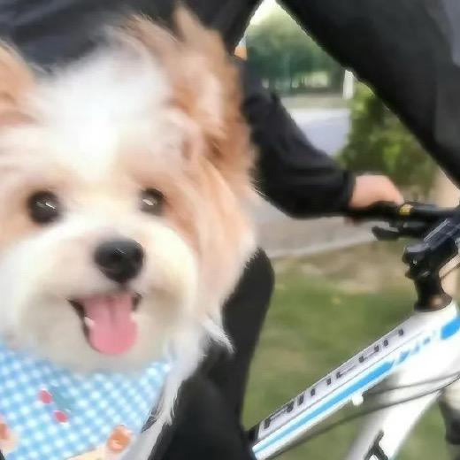 发财小郑