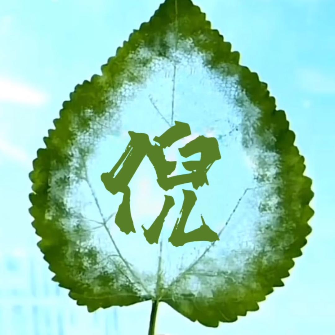 奶香土豆倪