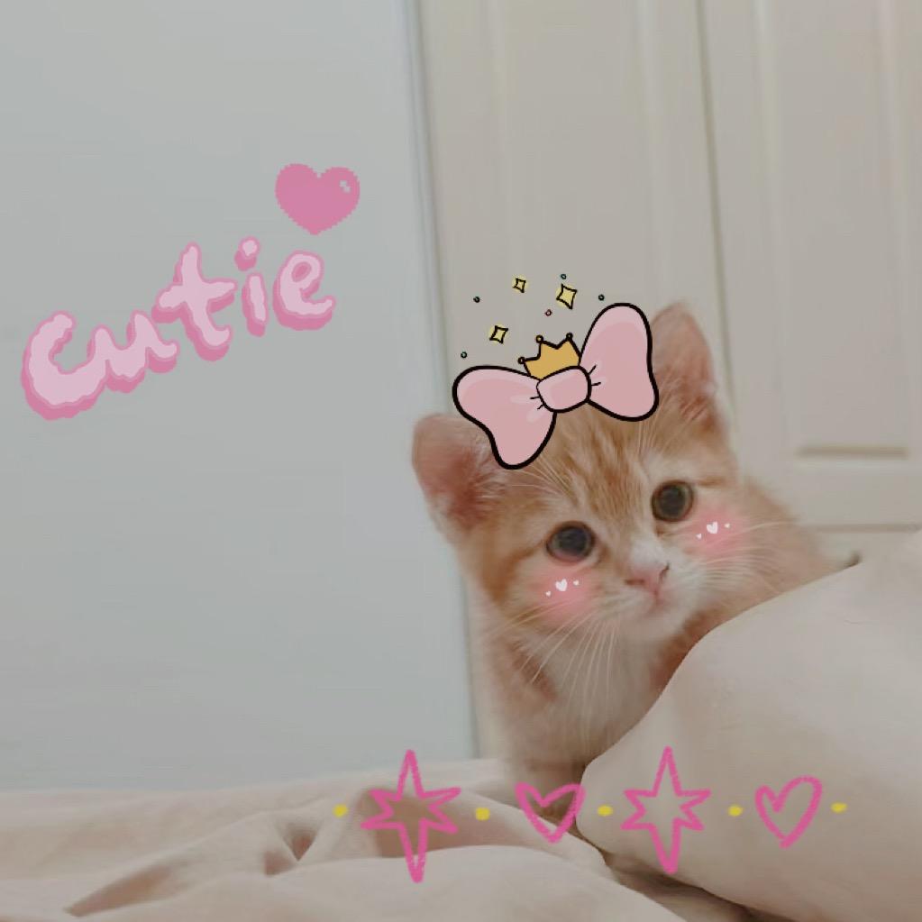 晚安呀🧡（见过魏晨版）