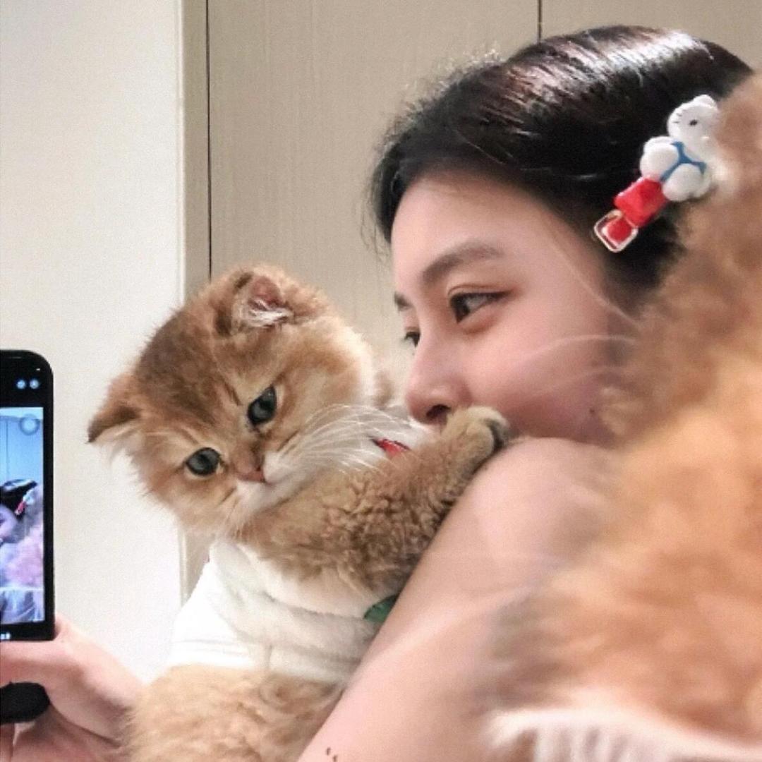 小猫碎碎念🐱