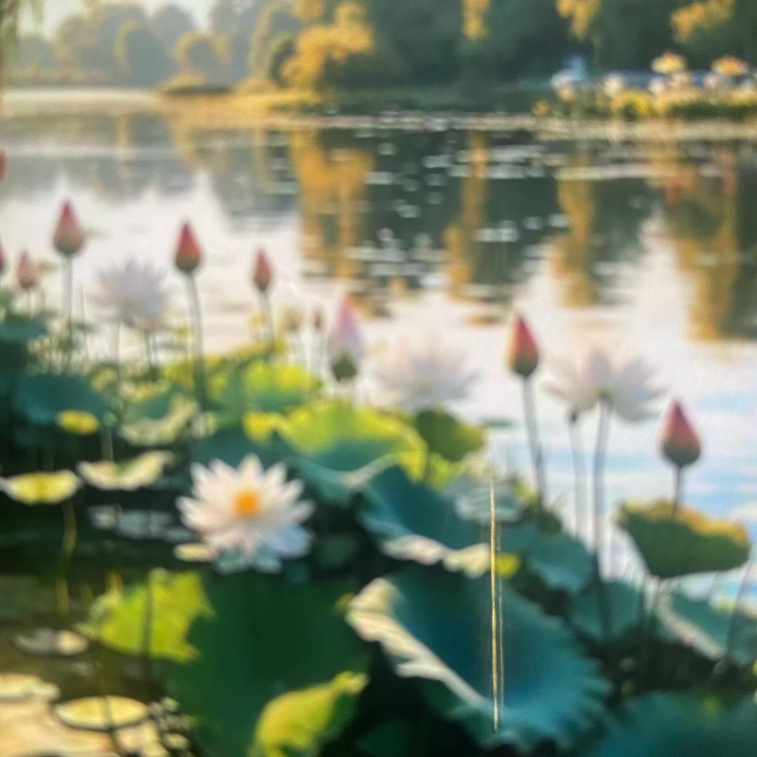 梦中归