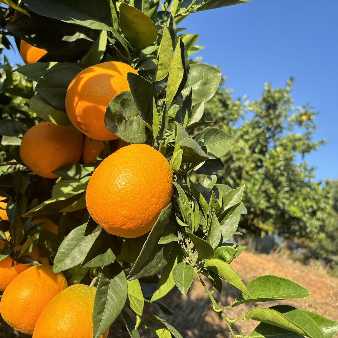 顺凯彩虹生活坊
