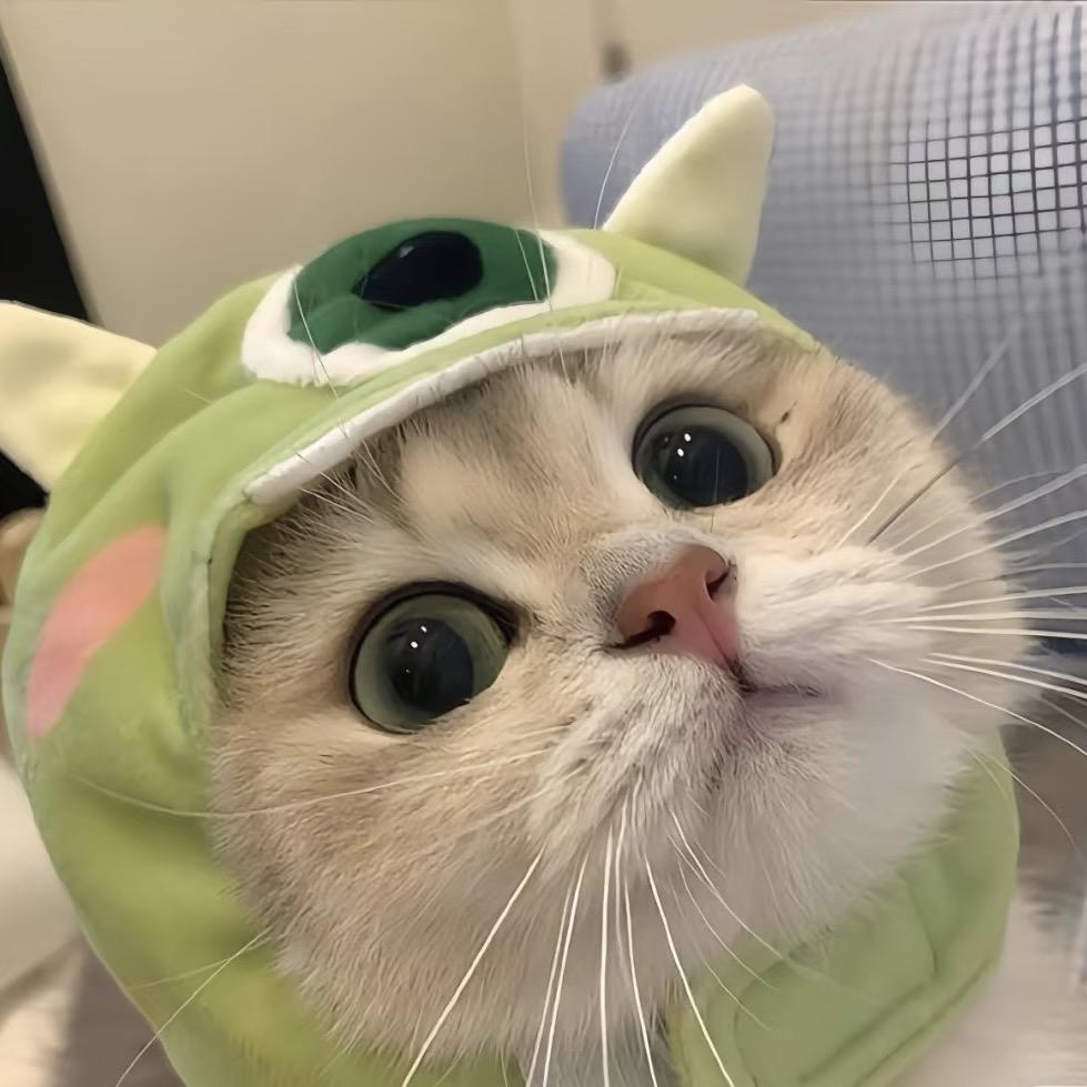 小猫咪𝓴𝓲𝓽𝓽𝓮𝓷✨