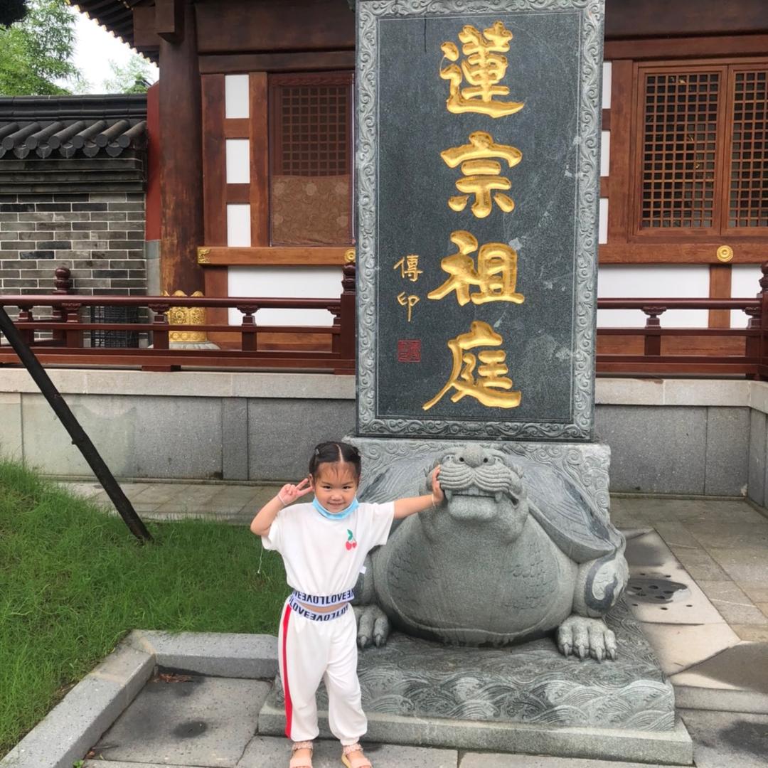 江西山地虎电脑升级刹车，小叶