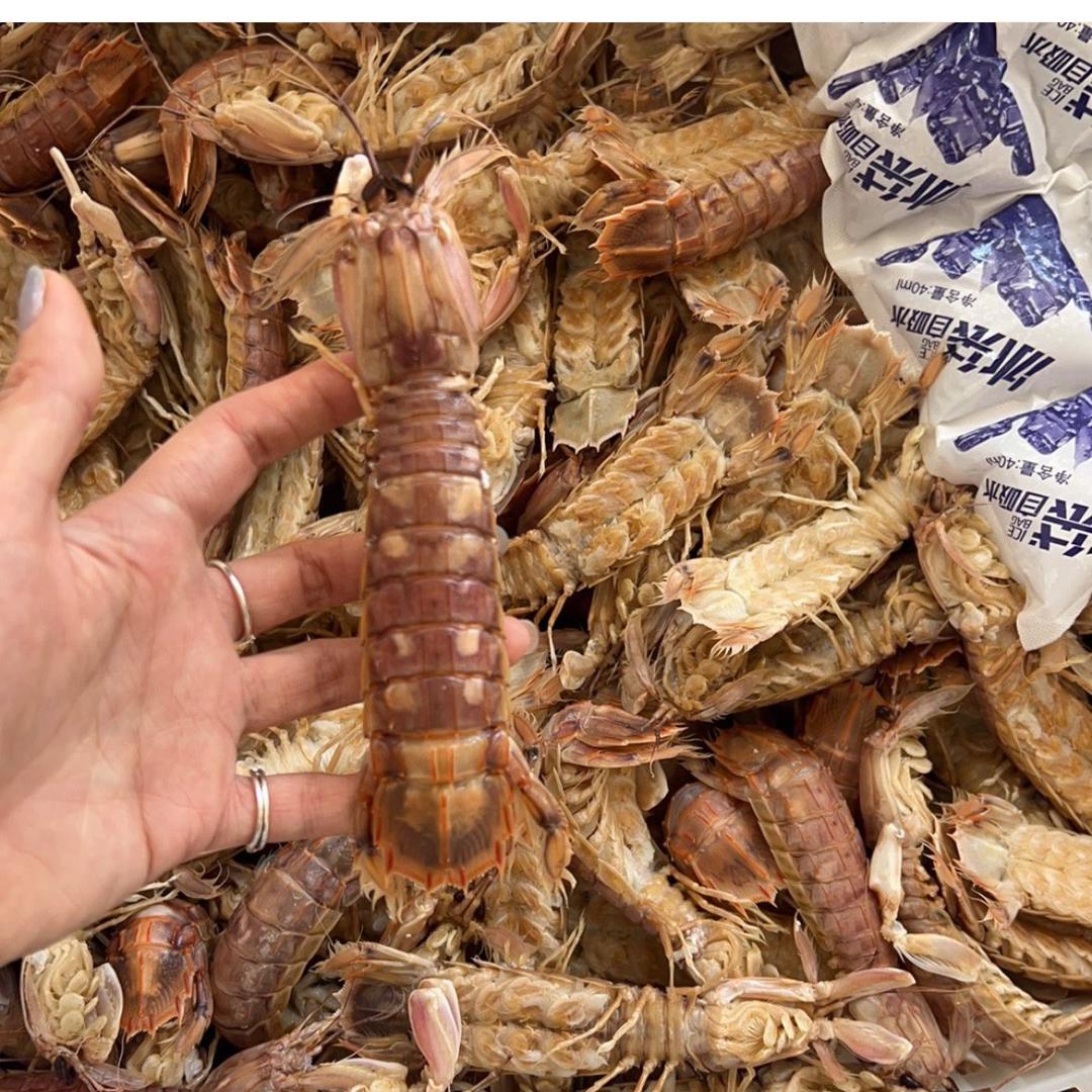 温州虾菇批发
