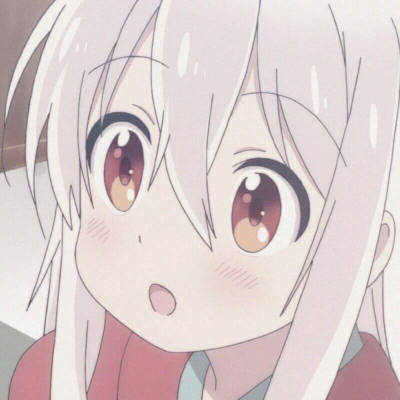 芝士不是知识