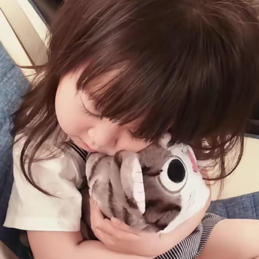 别动我的齐刘海^